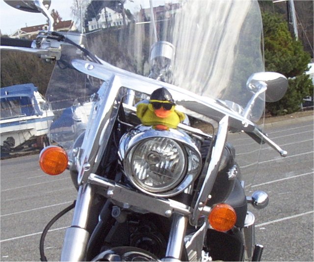 2004 VTX 1300