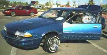 blue sunbird