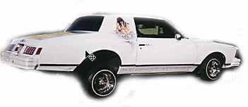Martin's monte