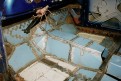 Floor around the gearbox
