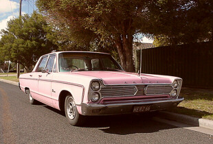 Pink 66 Phoenix