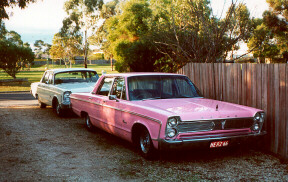Pink '66
