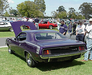 Plum Crazy 440