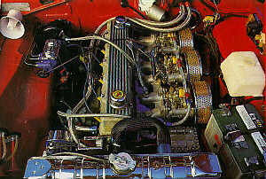 6 Pack Donk