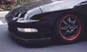 The Black Stallion