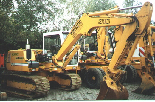 R 310 Ulrich P�schl