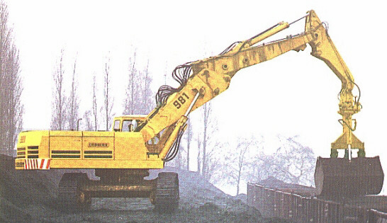 R 981