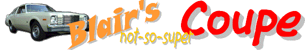 banner.gif (22360 bytes)