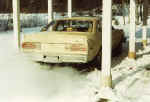 winter.jpg (68478 bytes)