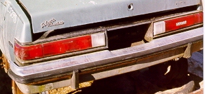 1982 Skylark rear