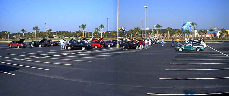 Myrtle 99.jpg (106186 bytes)