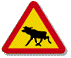 moose
