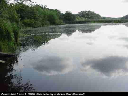 Carmins River (Riverhead)
