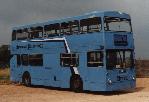 DM 2646