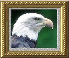 The symbol of freedom