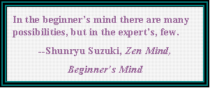 The Beginner's Mind...