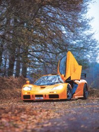 McLaren F1 LM from the front with its door open
