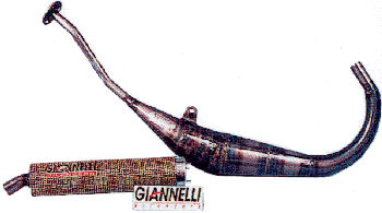 Image of giannelli.gif
