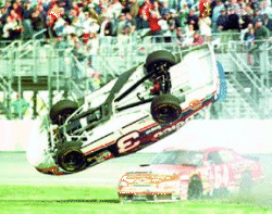 Dale Jr. Flies