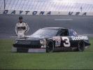 Dale's 3 daytona