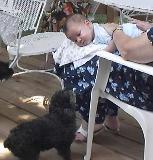 Andrew with a new friend