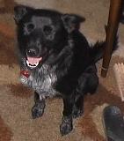 Matilda also says 'ix-nay the ash-flay'
