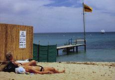 Shooting the wildlife at St-Tropez (Cote d'Azur, French Riviera)
