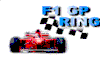 F1 GP RING
