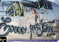 Nose Art