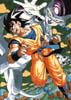 dbz17-.jpg (11904 bytes)