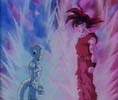 gok_freeza-.jpg (9525 bytes)