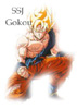 gokou2-.jpg (10309 bytes)