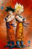 goku009-.jpg (9113 bytes)