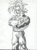 ssjtrunks1.jpg (2586 bytes)