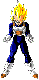 ssjveg-.gif (2020 bytes)