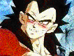 supervejiita01-.gif (6414 bytes)