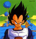 vegeta_namek-.jpg (10235 bytes)