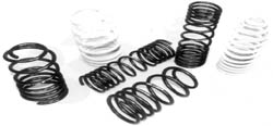 Lowering Springs
