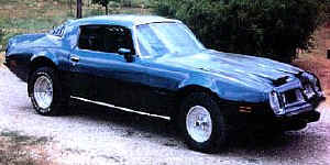 75bird.jpg