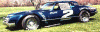 camaro.gif (160522 bytes)