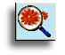 Contact me on ICQ