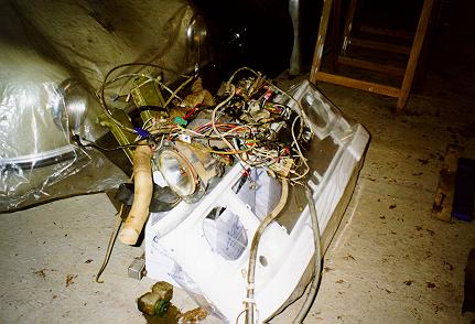 newnose.jpg (32043 bytes)