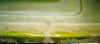 pl1.jpg (10292 bytes)