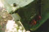 crncrk.jpg (17812 bytes)