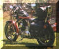 One More In The Yard 87 Sportster