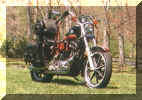 87 Sportster In The Sunshine