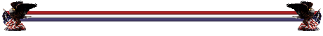 Eagle and Flag Bar