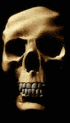What does this skull want to say?