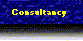 Information about our Consultancy Services.