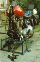 Springer-1